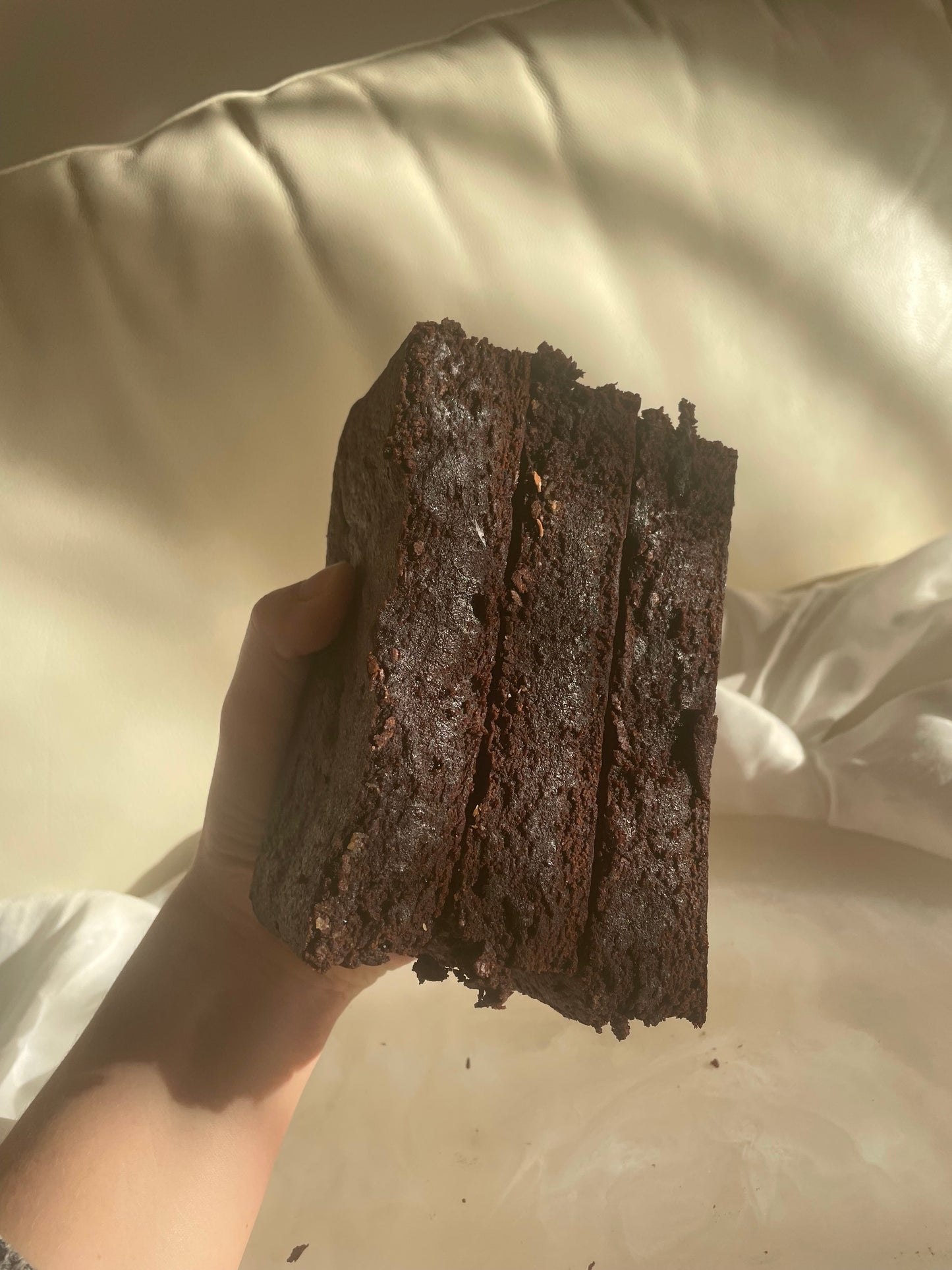 Salted Caramel Brownie